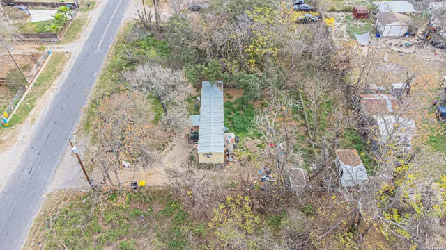 a close up of a plant with a plant