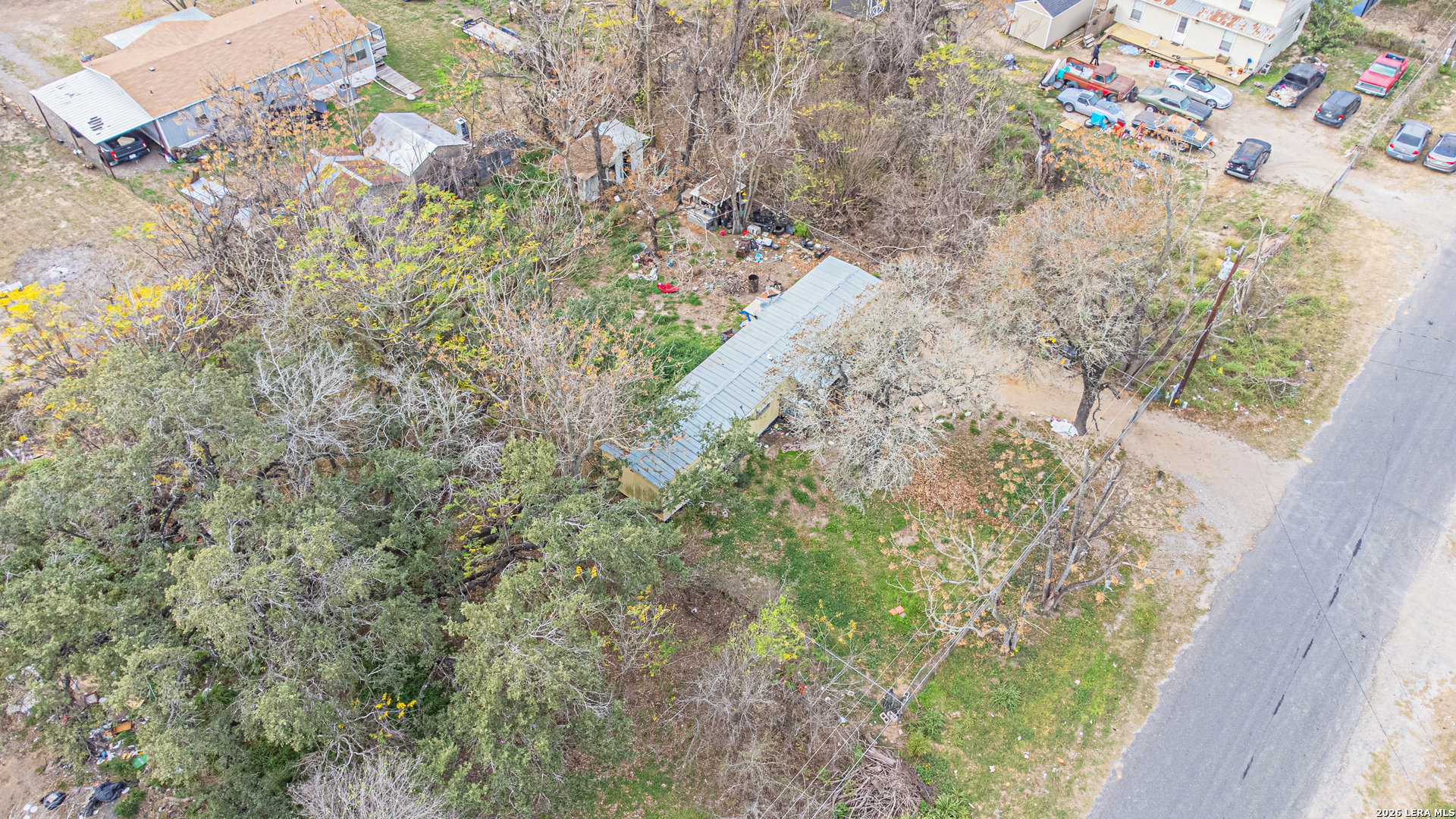 369 Gateway Drive Poteet, TX 78065 - Photo 20 of 45 a close up of a plant with a plant