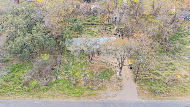 a view of a yard with plants and wooden fence