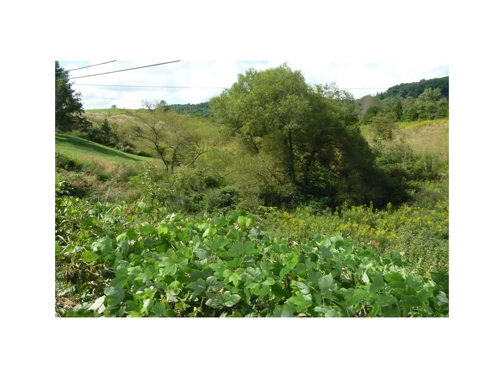 Lot 4 Daniel Boone Road, Unit 4 Gate City, VA 24251 - Photo 2 of 4 Photo 2