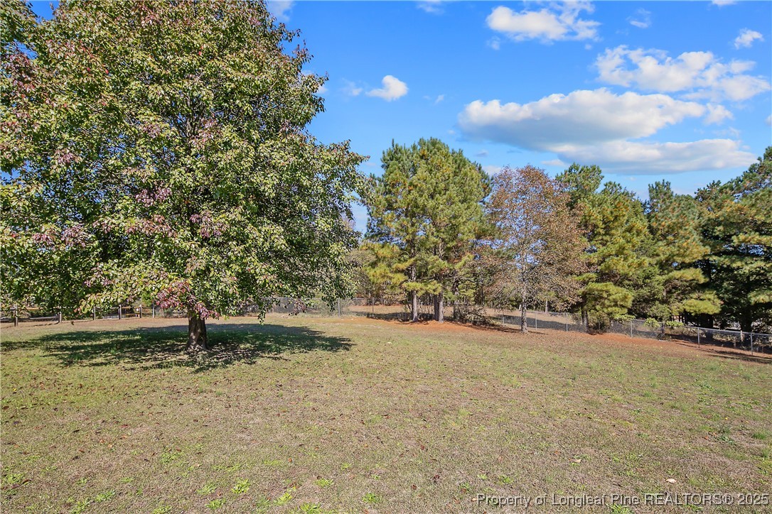 7666 Overhills Road Spring Lake, NC 28390 - Photo 48 of 50 a backyard of a house with lots of green space
