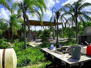 2950 South Brocksmith Road Fort Pierce, FL 34945 - Photo 12 of 45 Brocksmith Road46
