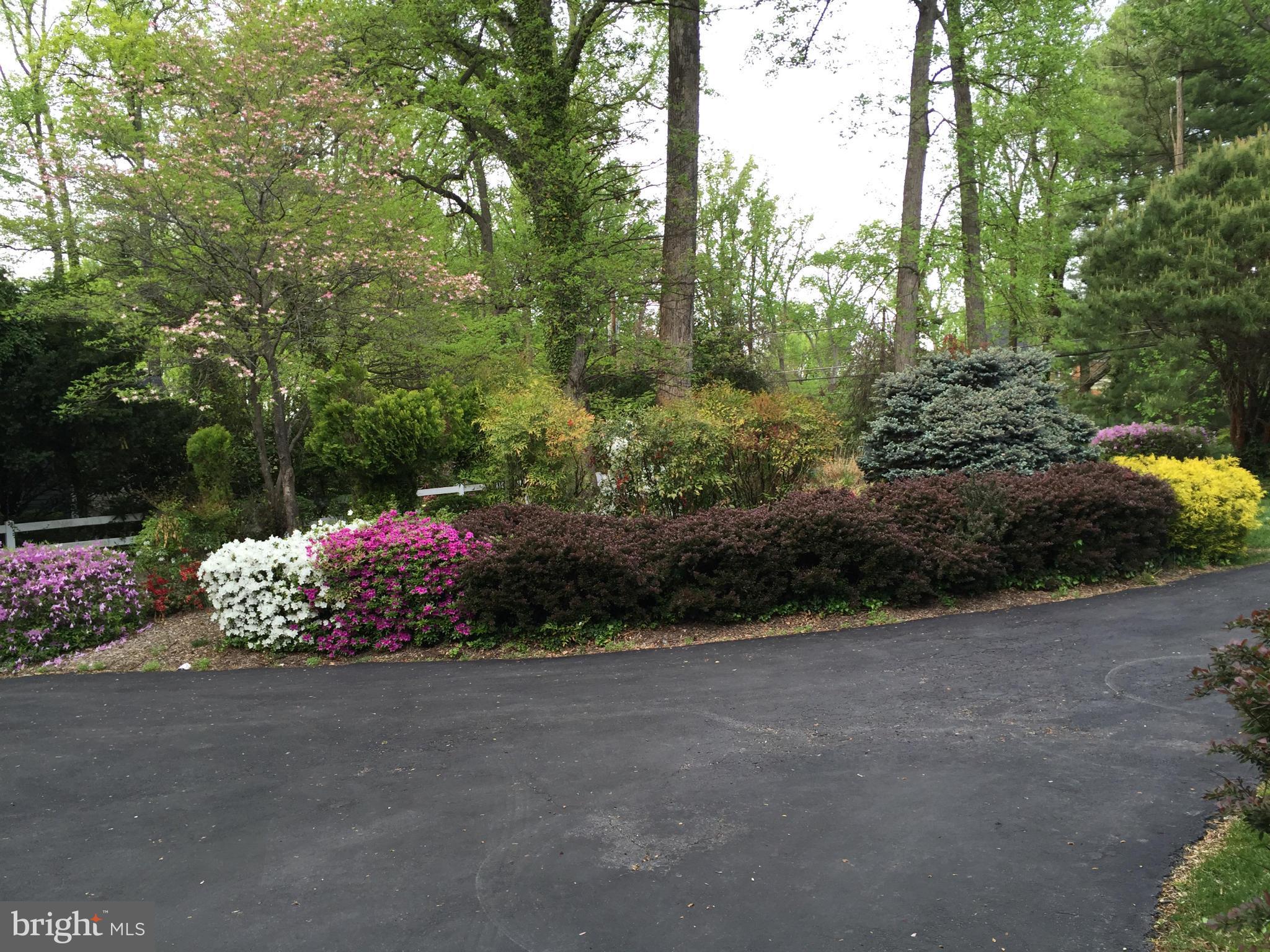 9120 Persimmon Tree Road Potomac, MD 20854 - Photo 3 of 29 Exterior (Front)