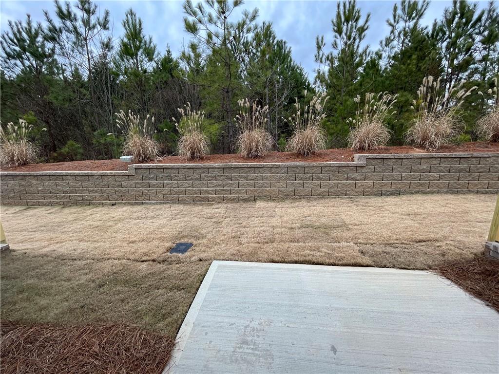 1003 Ramon Drive Grayson, GA 30017 - Photo 12 of 12 a view of a yard