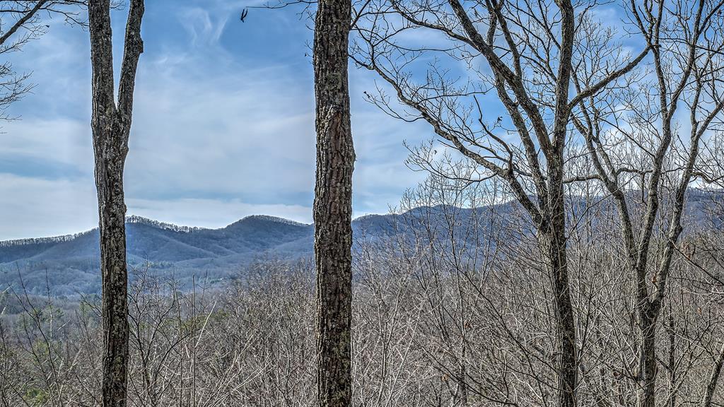 203 Chimney Rock Court Blue Ridge, GA 30513 - Photo 5 of 52 Long range views from the decks on the back of the