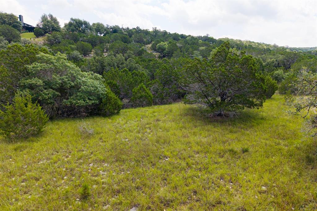 121 Spring Cove Dripping Springs, TX 78620 - Photo 35 of 40