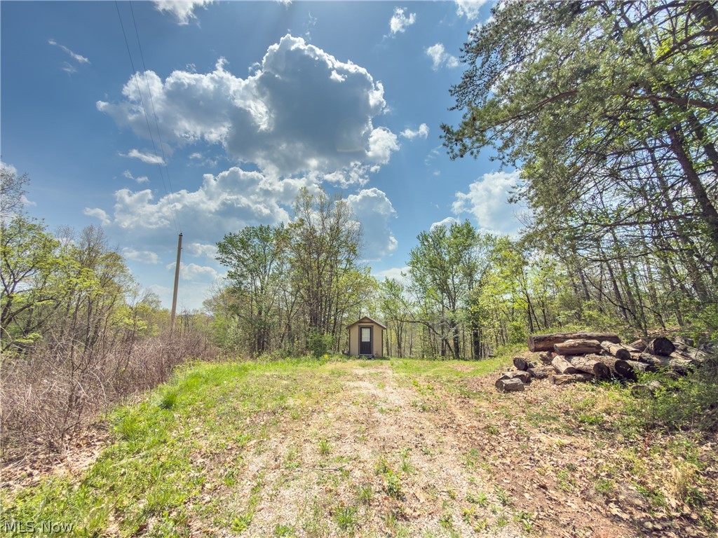 Beardmore Road Wingett Run, OH 45789 - Photo 17 of 43