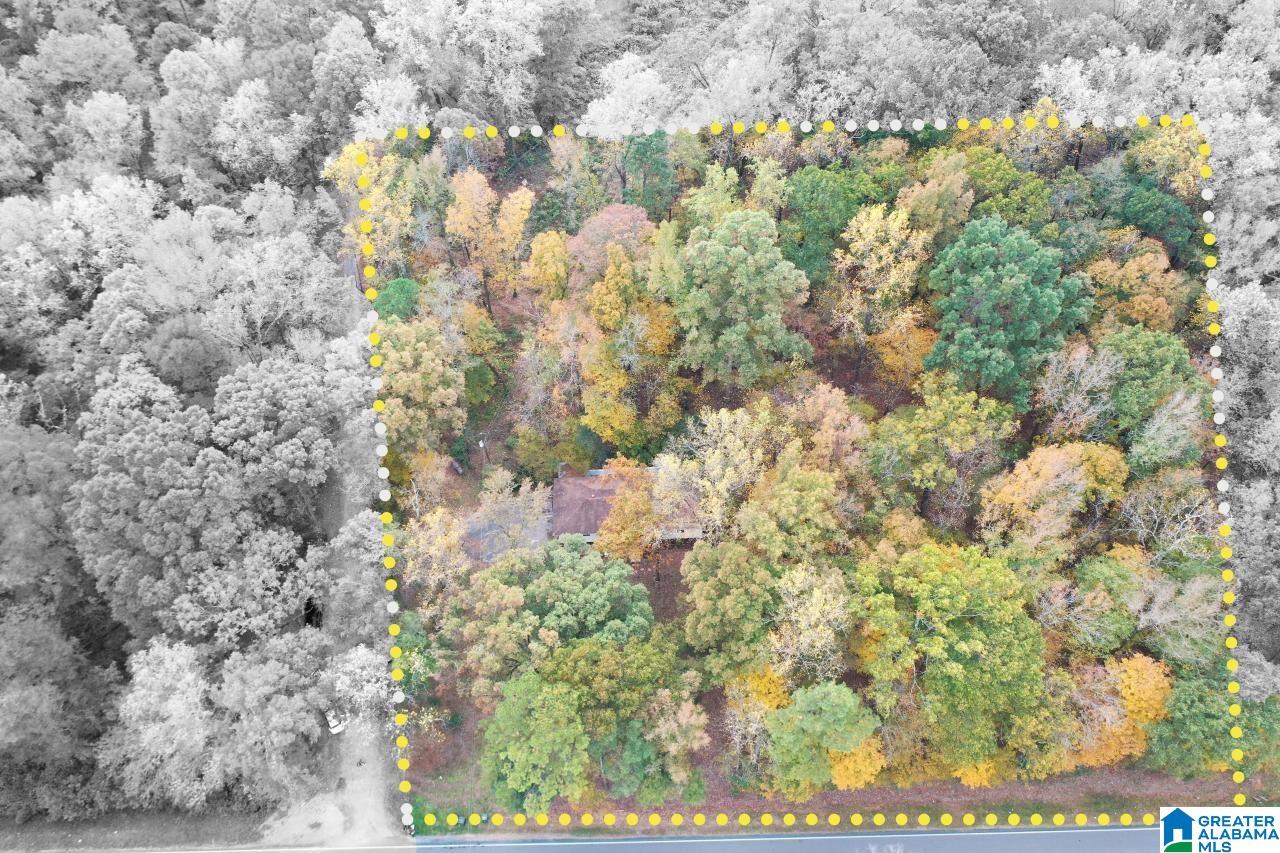 3210 Spring Creek Road Calera, AL 35040 - Photo 32 of 34 Gallery Image 32