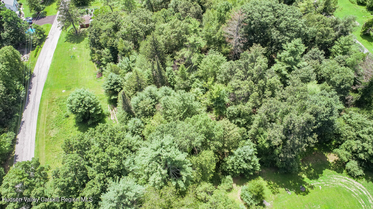 330 S Road Ruby, NY 12475 - Photo 6 of 7 a view of a garden