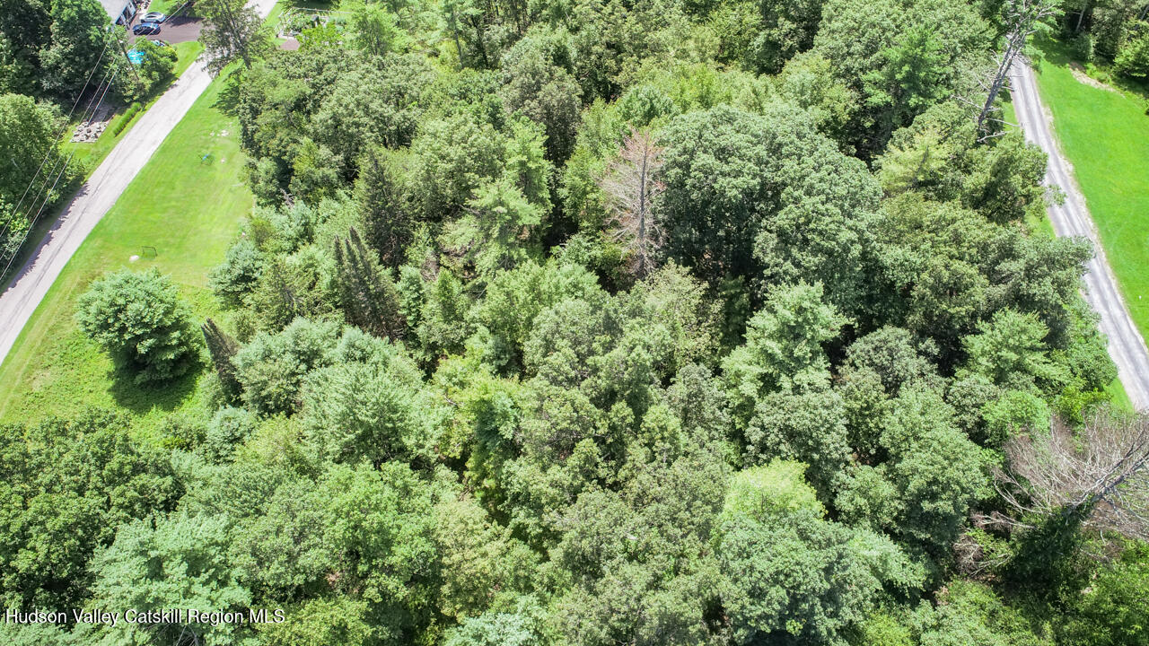 330 S Road Ruby, NY 12475 - Photo 7 of 7 a view of a lush green forest with a park
