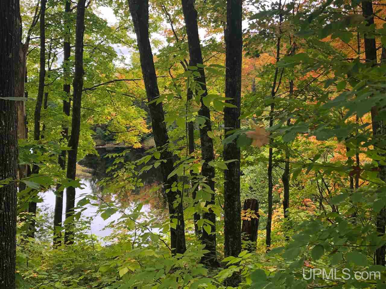 5.9-ac Off Chaney Coves Road, Unit 5 Bessemer, MI 49911 - Photo 4 of 12
