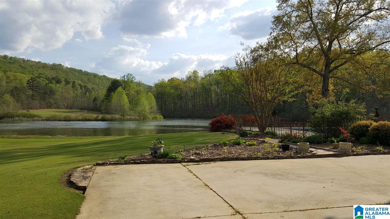 4004 Highway 132 Oneonta, AL 35121 - Photo 49 of 49