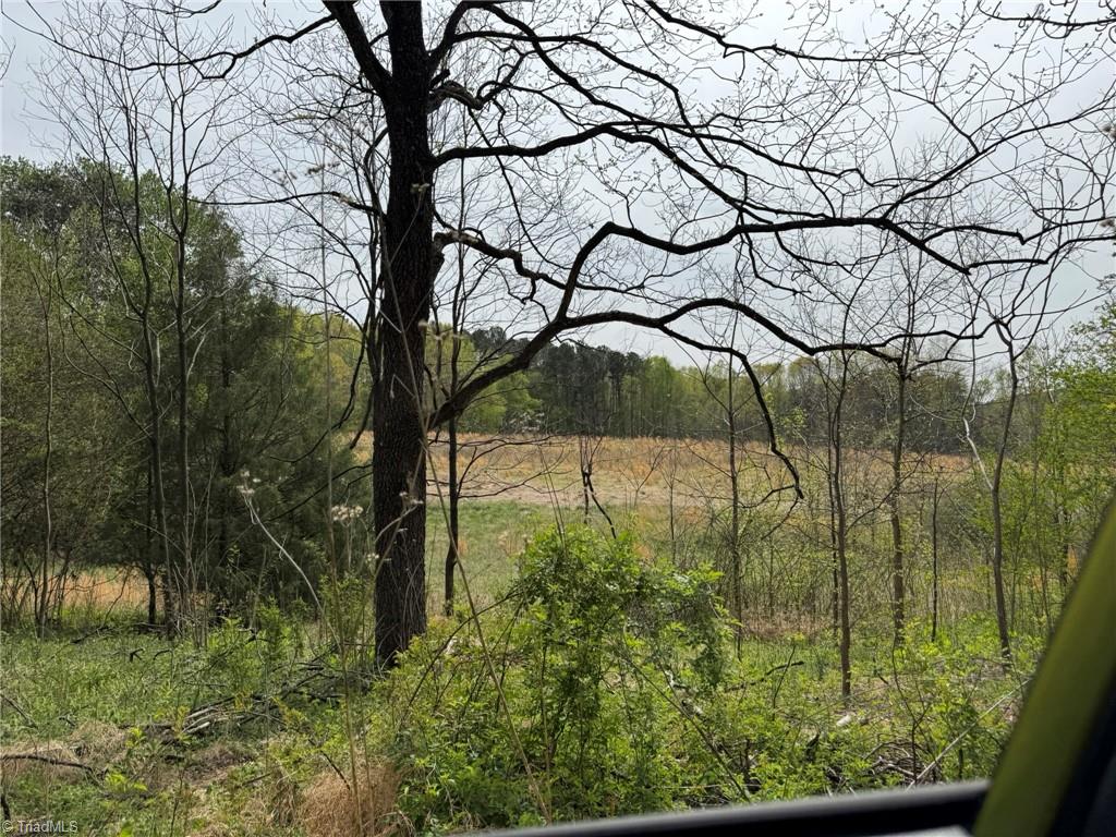 6988 Salem Chapel Road Walnut Cove, NC 27052 - Photo 27 of 38