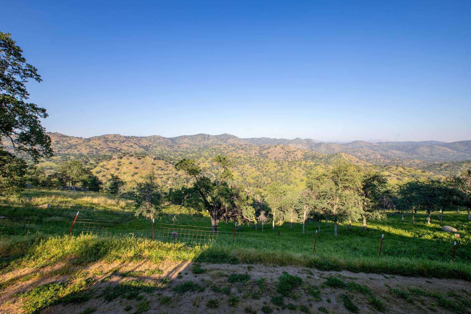 35032 George Smith Road Squaw Valley, CA 93675 - Photo 36 of 40