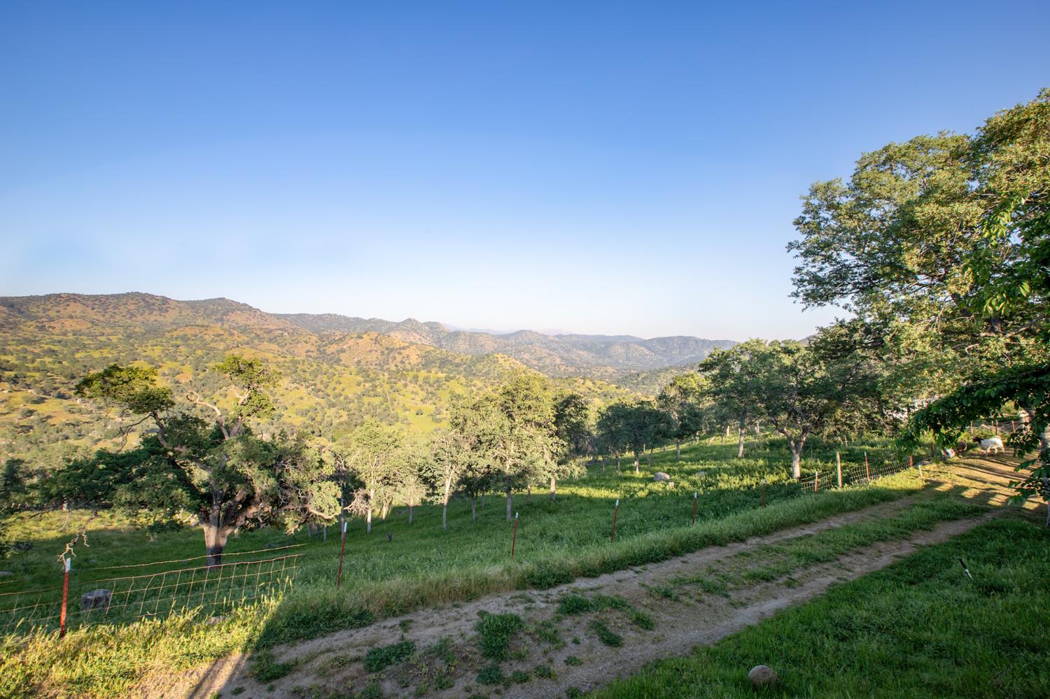 35032 George Smith Road Squaw Valley, CA 93675 - Photo 38 of 40