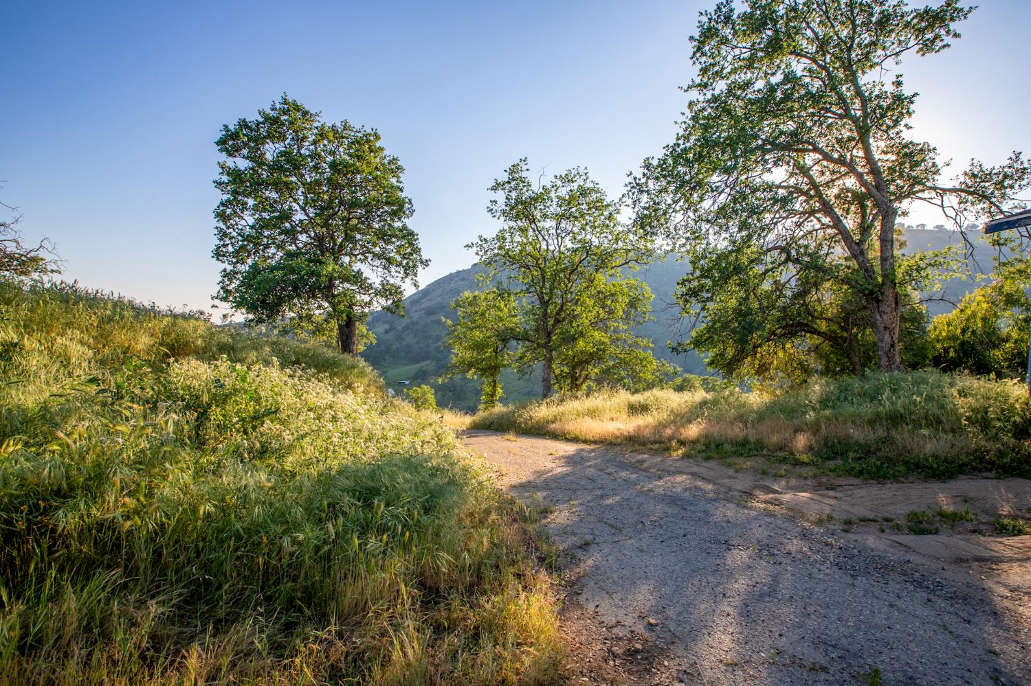 35032 George Smith Road Squaw Valley, CA 93675 - Photo 4 of 40