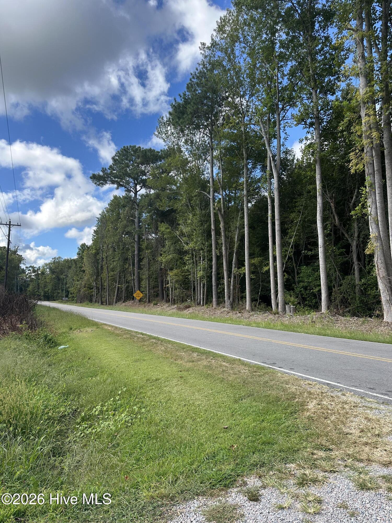 0 Perrys Bridge Road Belvidere, NC 27919 - Photo 1 of 2 Photo across the street Perry's Bridge