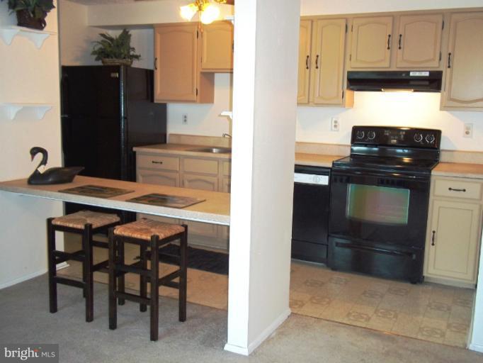 500 Heather Ridge Drive, Unit F Frederick, MD 21702 - Photo 9 of 23 Kitchen