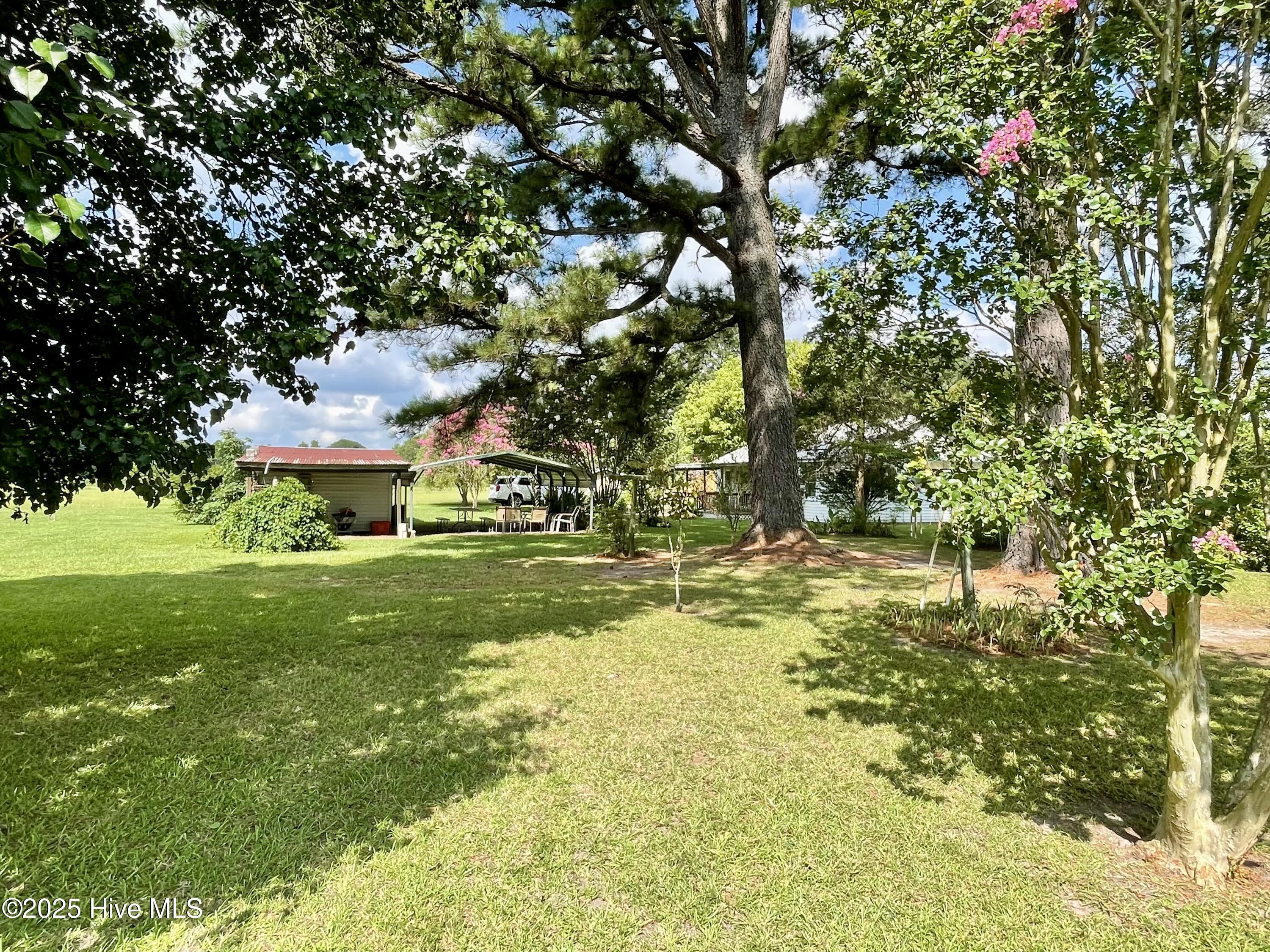 276 Rowland Road Pinetown, NC 27865 - Photo 48 of 55 Backyard