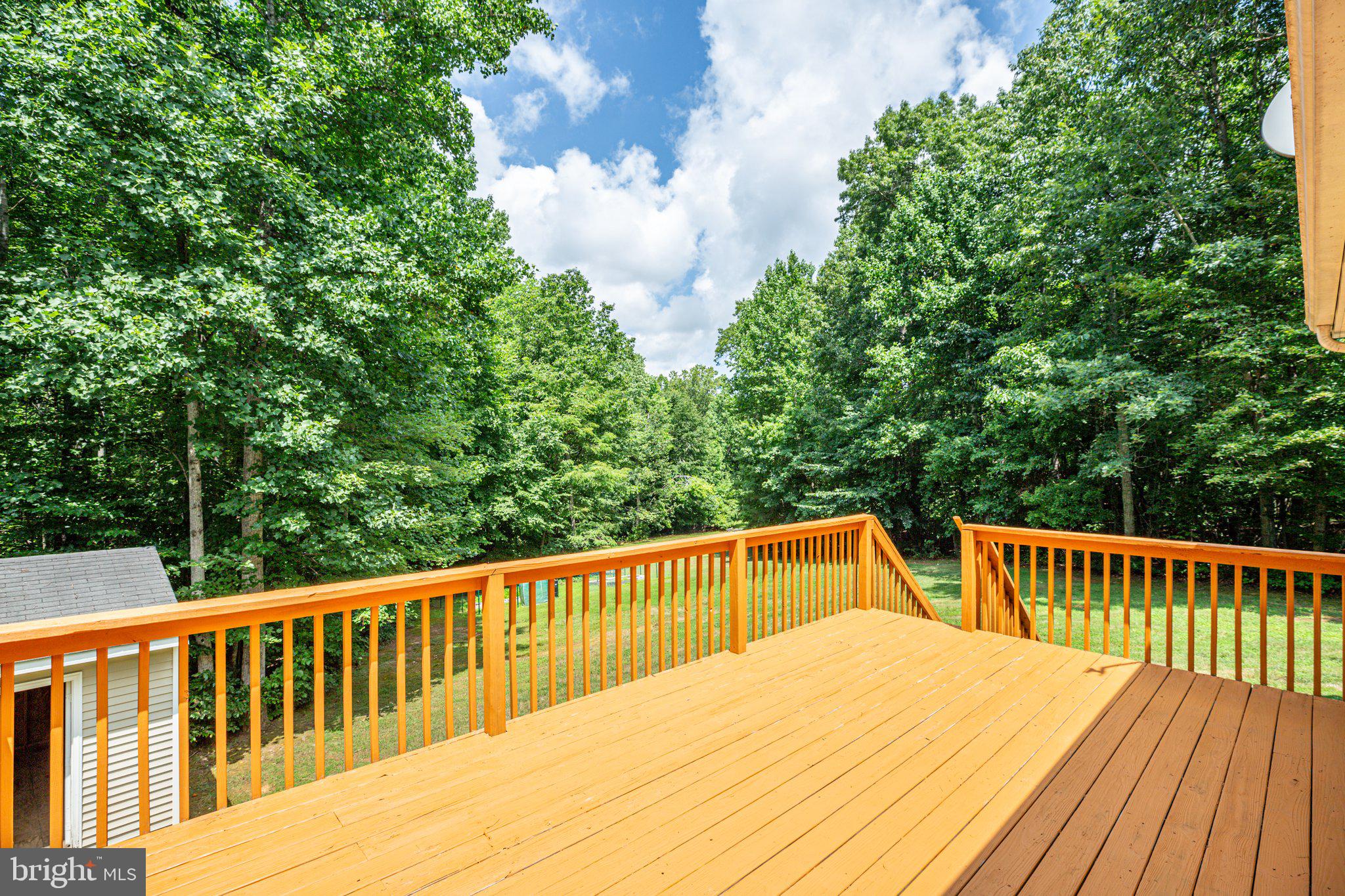 5550 Courtneys Corner Road Sumerduck, VA 22742 - Photo 16 of 49 Overlooking the private back yard