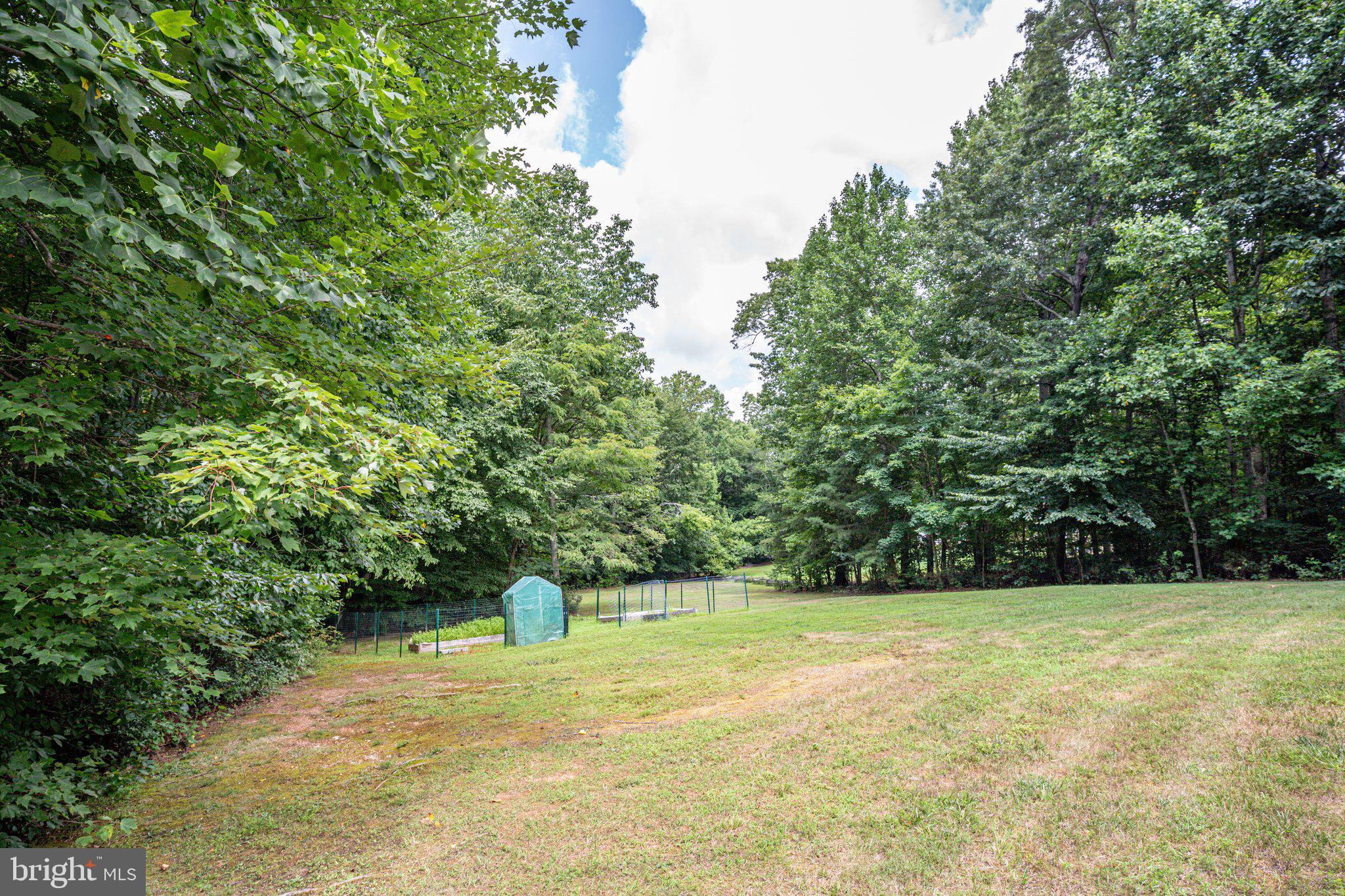 5550 Courtneys Corner Road Sumerduck, VA 22742 - Photo 40 of 49 Grow your own veggies!