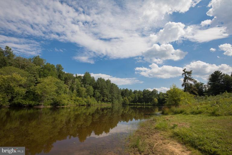 5550 Courtneys Corner Road Sumerduck, VA 22742 - Photo 48 of 49 Phelps WMA 4500 + Acres of Outdoor Recreation