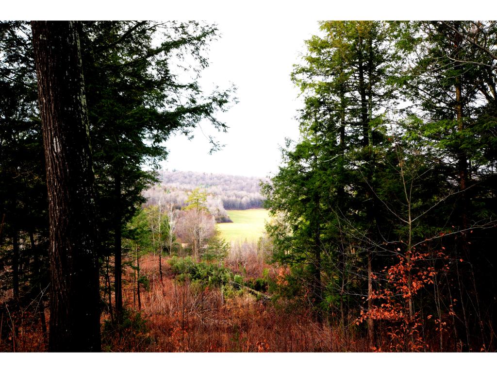 28 Hart Springs Road Milton, VT 05468 - Photo 14 of 35 Gallery Image 14