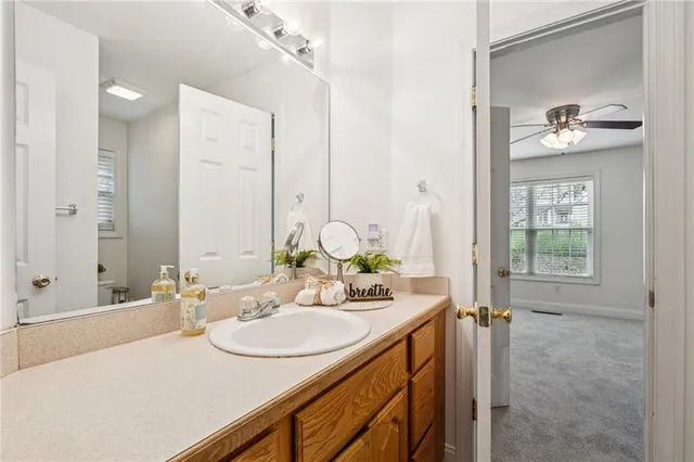 a bathroom with a sink vanity and a mirror