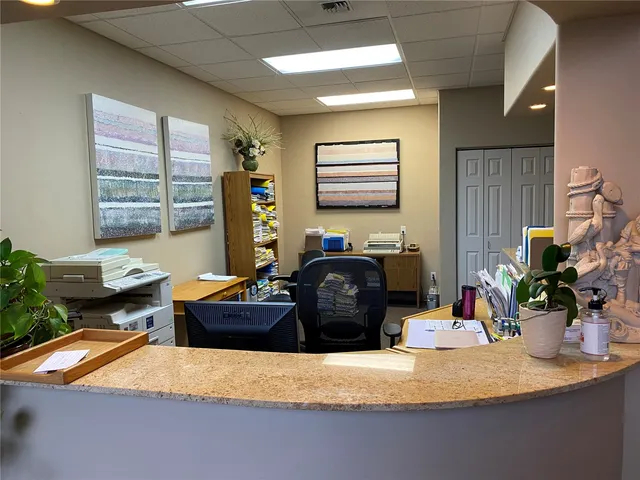 a living room with furniture flowerpot and a window