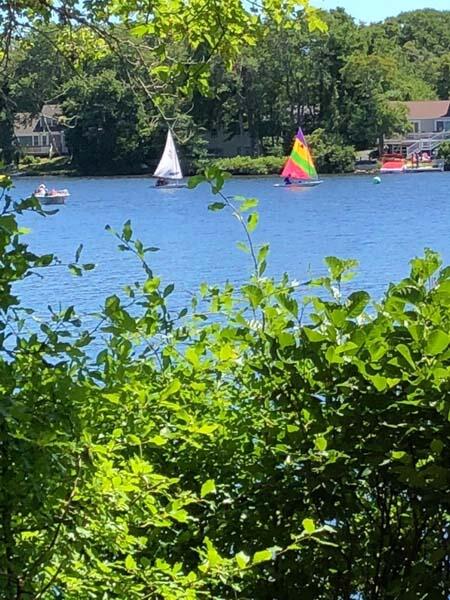 351 Huckins Neck Road Centerville, MA 02632 - Photo 49 of 55 a view of a backyard with plants and a patio