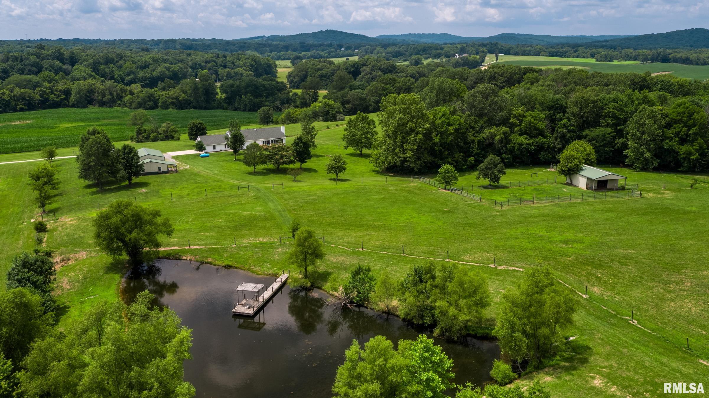 10891 Lick Creek Road Buncombe, IL 62912 - Photo 9 of 31