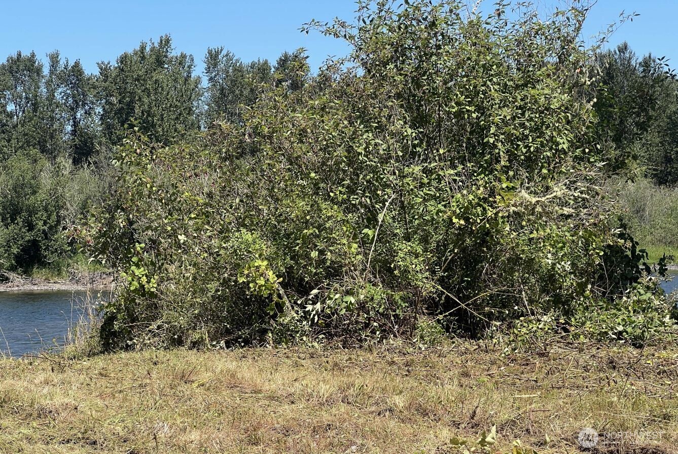 0 Evans Road Toledo, WA 98591 - Photo 3 of 7