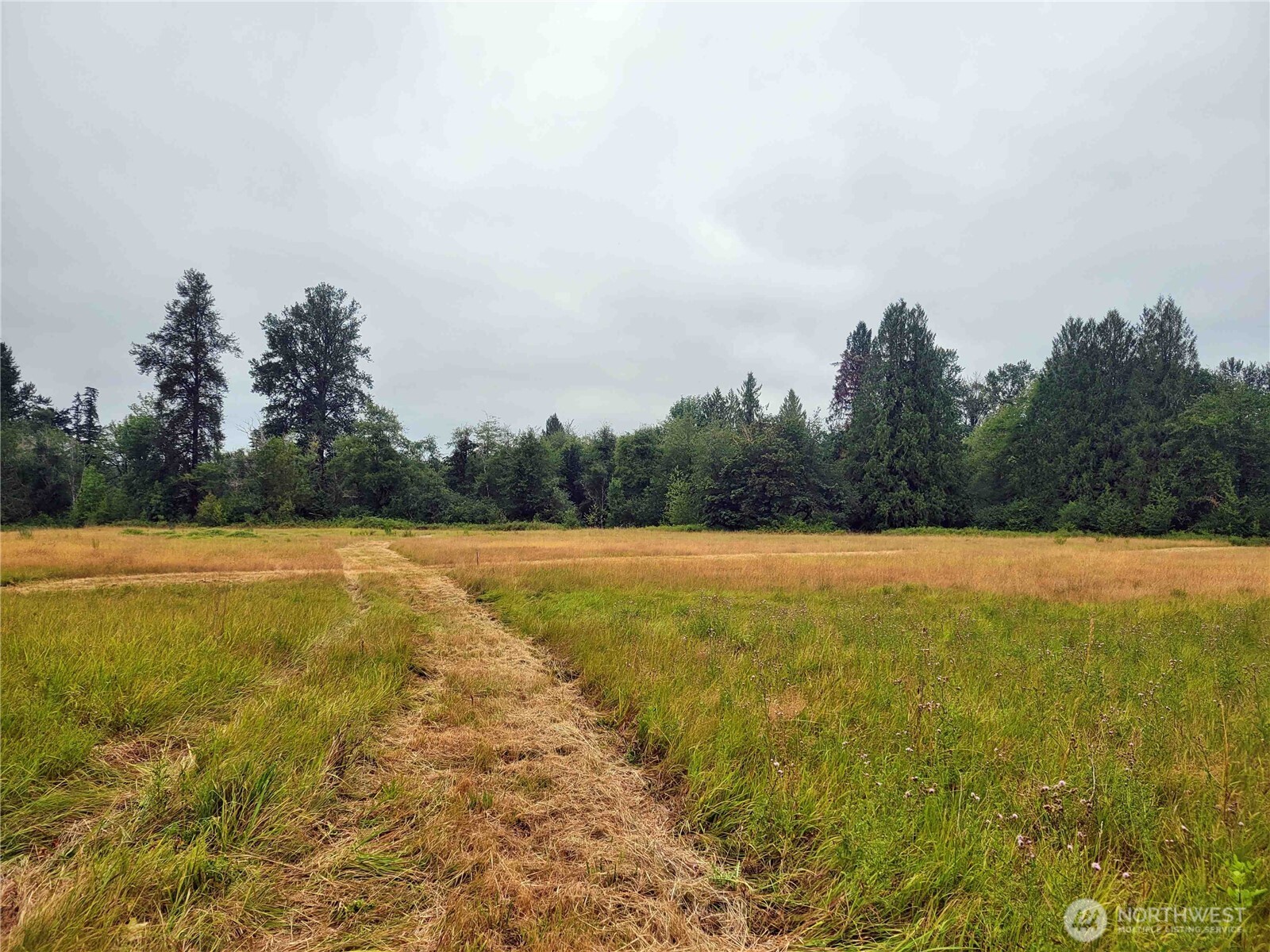 0 Evans Road Toledo, WA 98591 - Photo 6 of 7