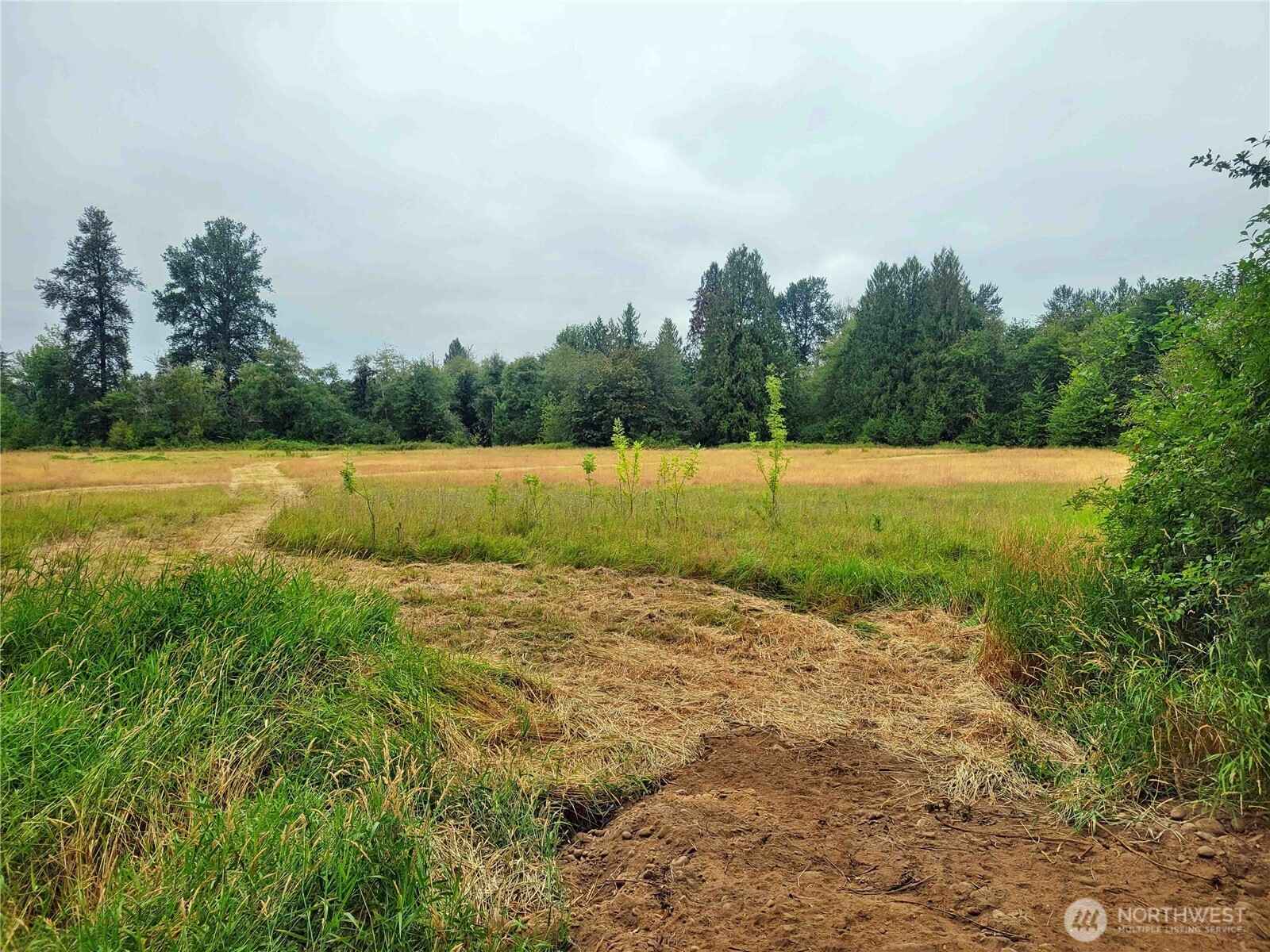 0 Evans Road Toledo, WA 98591 - Photo 7 of 7