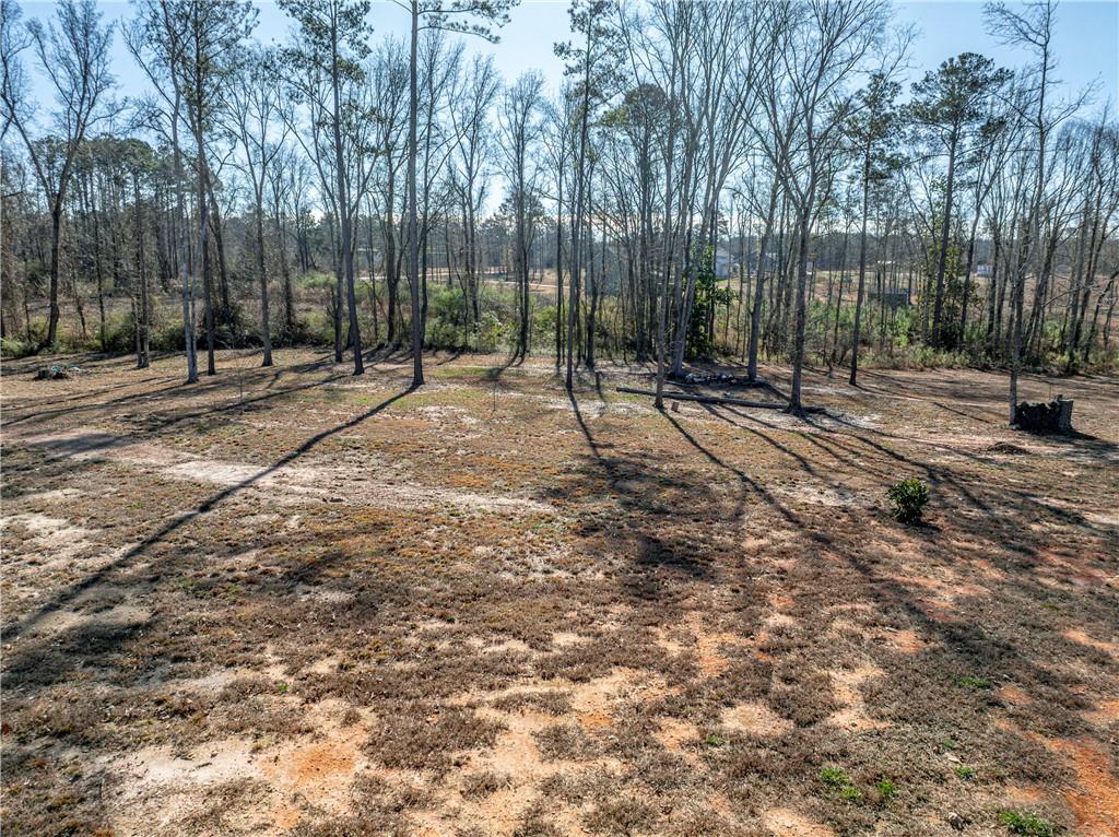 103 Hammond Road Griffin, GA 30223 - Photo 13 of 76 a view of road with trees