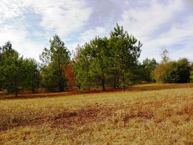 213 Claxton Dairy Road Dublin, GA 31021 - Photo 1 of 1