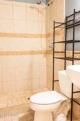 a bathroom with a toilet and a shower