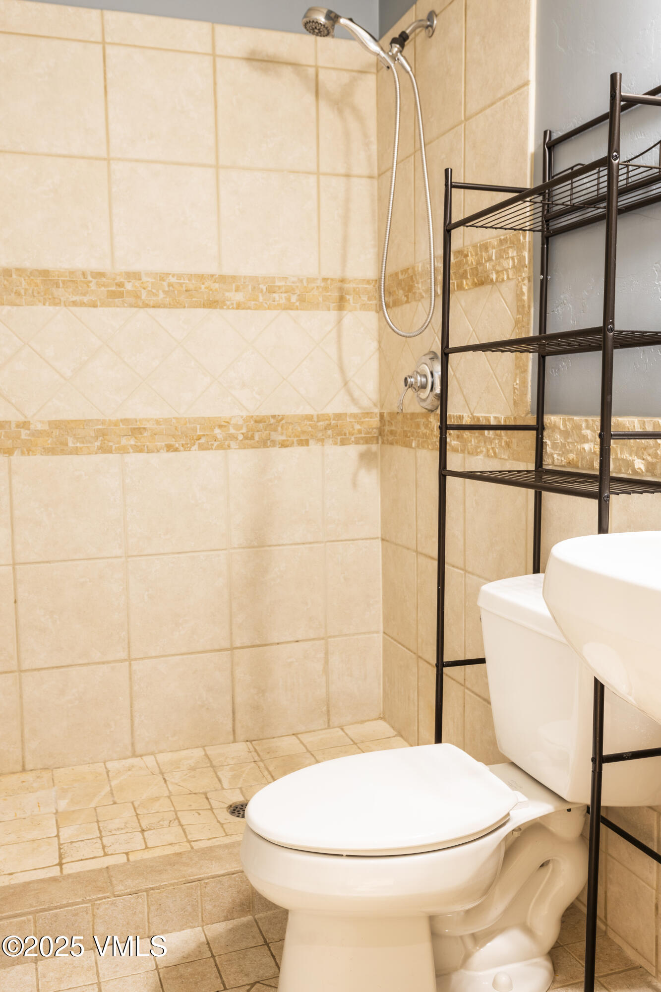 20 MacDonald Street Eagle, CO 81631 - Photo 9 of 10 a bathroom with a toilet and a shower