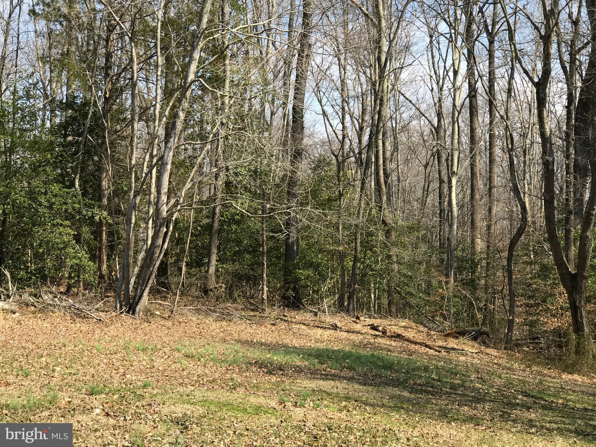 6220 Hawthorne Road La Plata, MD 20646 - Photo 12 of 15 View