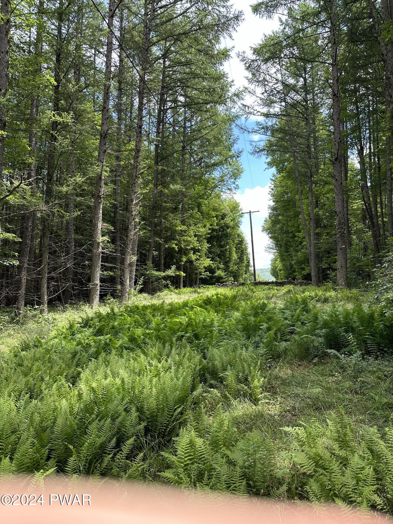 Upper Woods Road Pleasant Mount, PA 18453 - Photo 8 of 10