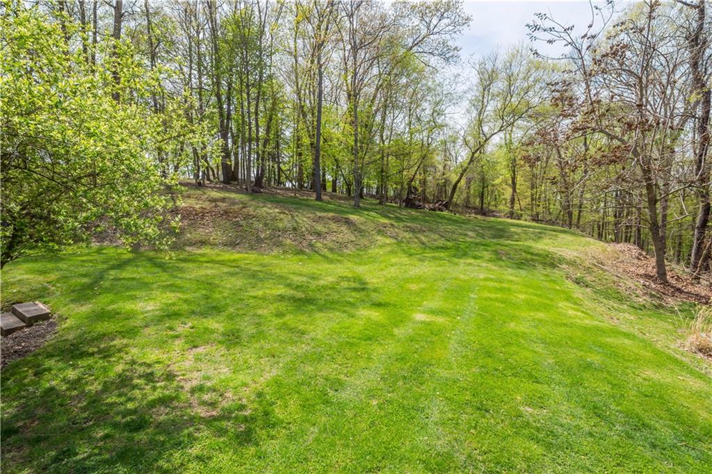 352 Water Works Road Sewickley, PA 15143 - Photo 44 of 49 a view of yard with trees