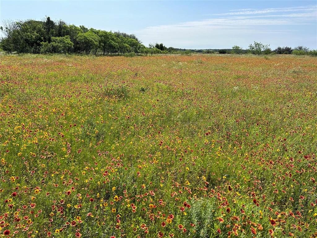 Tbd 1 Cr 343 Road Dublin, TX 76446 - Photo 18 of 33 View of nature with rural landscape