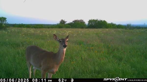 Tbd 1 Cr 343 Road Dublin, TX 76446 - Photo 2 of 33 Exterior view