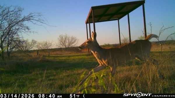 Tbd 1 Cr 343 Road Dublin, TX 76446 - Photo 3 of 33
