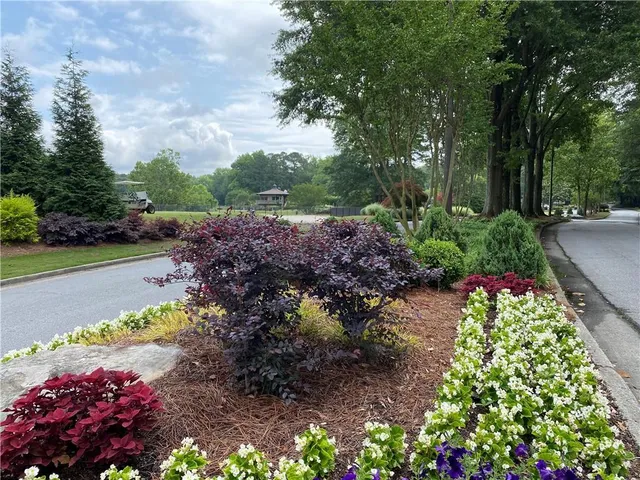a view of a garden with a flower garden