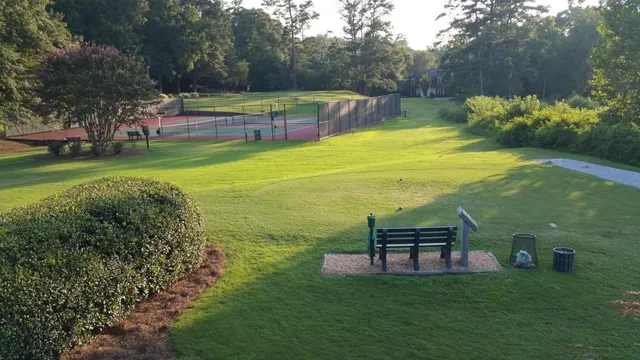 a view of a swimming pool with a garden