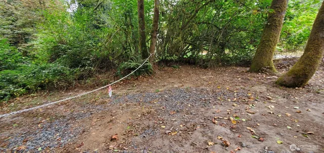 a view of an outdoor space with trees
