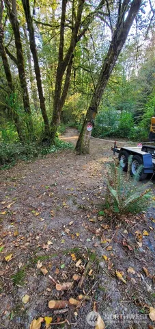 a view of backyard with green space