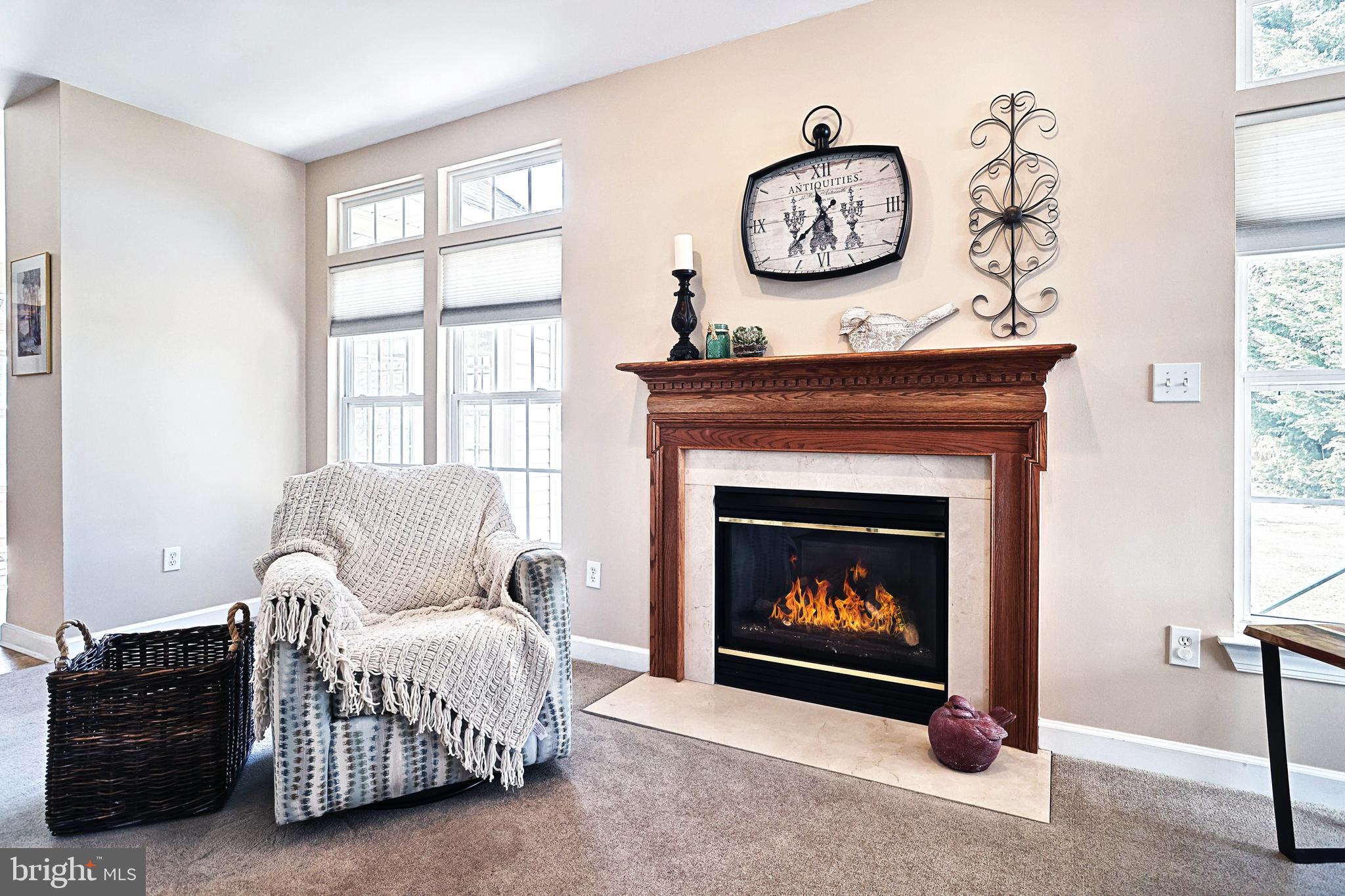47 Smith Mill Road New Freedom, PA 17349 - Photo 19 of 51 Gas fireplace