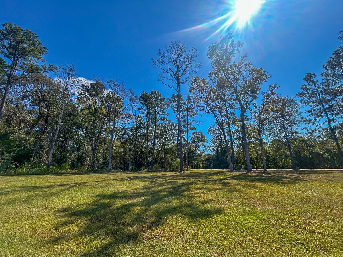 50 Neiderhoffer Subdivision Road Huntsville, TX 77340 - Photo 5 of 20 a view of swimming pool with trees